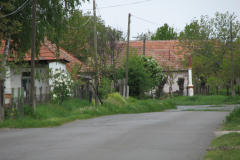 2008050444_20080713_1864798986