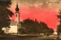 20100223_1882573943_tofalu1