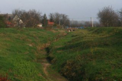 20140118_1738324875_31