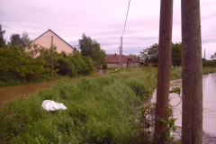20100524_1240230475_cimg0028