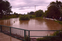 20100524_1250597083_cimg0025