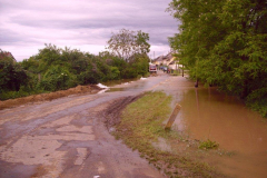 20100524_1405464198_cimg0018