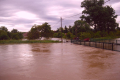20100524_1490899109_cimg0016