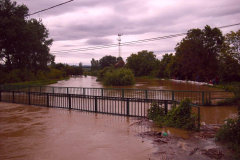 20100524_1561851084_cimg0013