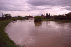 20100524_1616532086_cimg0014