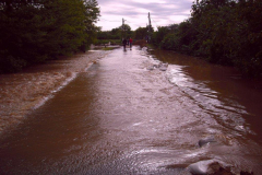 20100524_1909685052_cimg0029