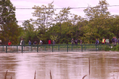 20100524_1934906738_cimg0008
