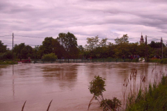 20100524_2078455539_cimg0010