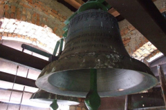 20100223_1239378175_5