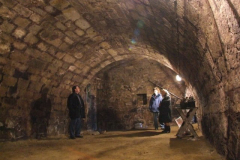 20100223_1597016222_28