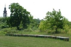 20100223_2028439779_33